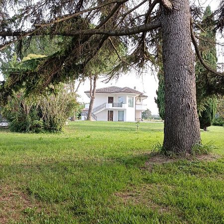 Morrovalle Casa Michelangeloヴィラ エクステリア 写真